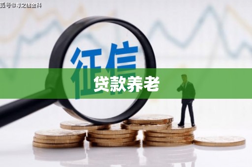 丰城贷款养老
