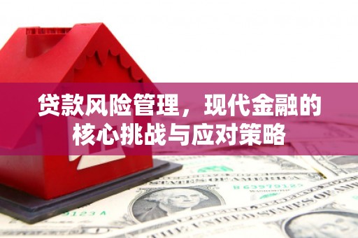 丰城贷款风险管理，现代金融的核心挑战与应对策略