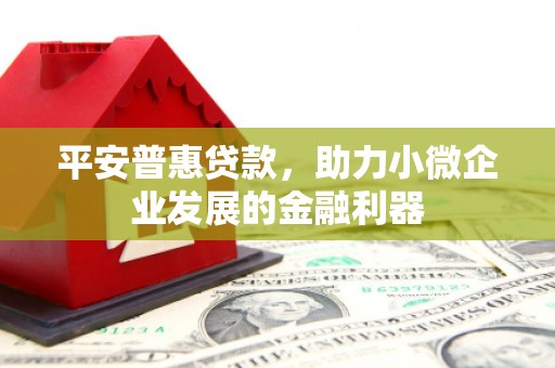 丰城平安普惠贷款，助力小微企业发展的金融利器