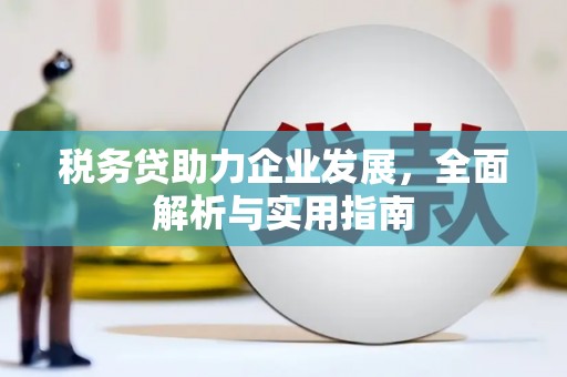 丰城税务贷助力企业发展，全面解析与实用指南