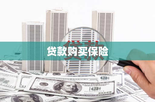 丰城贷款购买保险