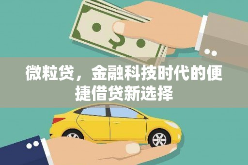 丰城微粒贷，金融科技时代的便捷借贷新选择