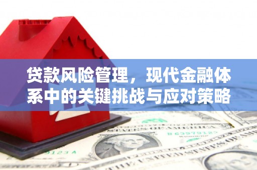 丰城贷款风险管理，现代金融体系中的关键挑战与应对策略