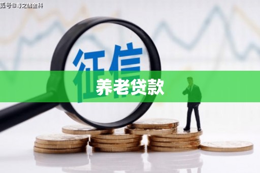 丰城养老贷款