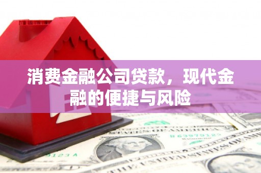 丰城消费金融公司贷款，现代金融的便捷与风险