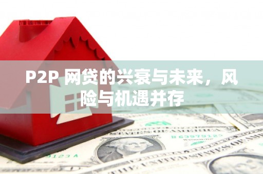 丰城P2P 网贷的兴衰与未来，风险与机遇并存