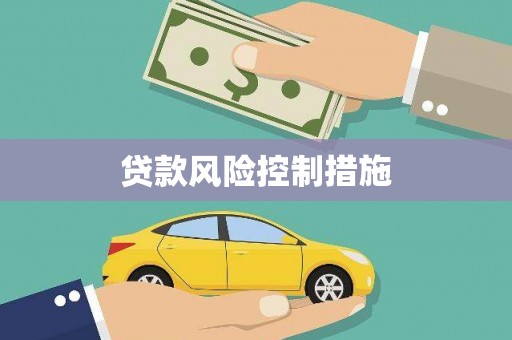 丰城贷款风险控制措施