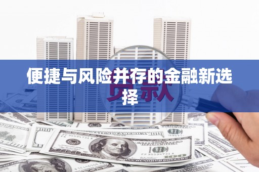 丰城便捷与风险并存的金融新选择