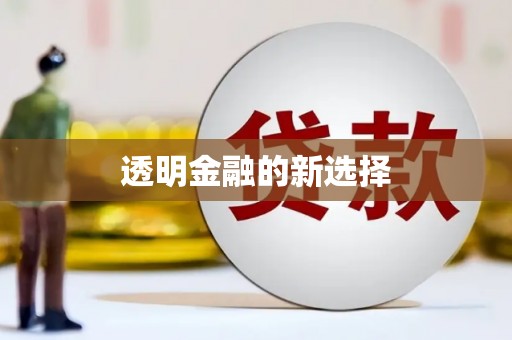 丰城透明金融的新选择