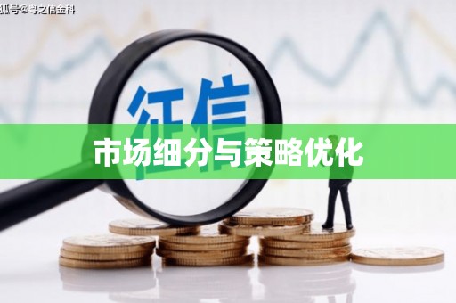 丰城市场细分与策略优化