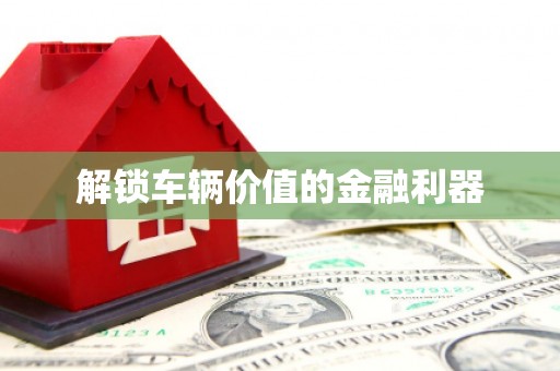 丰城解锁车辆价值的金融利器