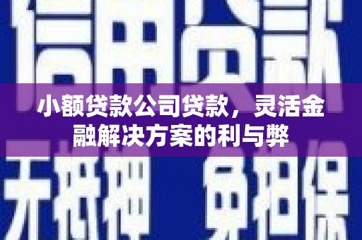 丰城小额贷款公司贷款，灵活金融解决方案的利与弊